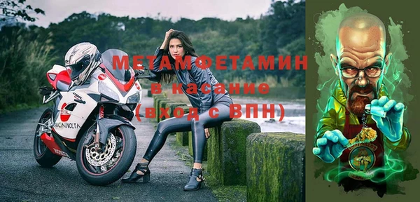 ГАЛЛЮЦИНОГЕННЫЕ ГРИБЫ Верея