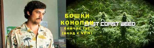 ГАЛЛЮЦИНОГЕННЫЕ ГРИБЫ Верея