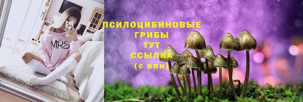 MDMA Premium VHQ Бронницы
