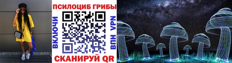 как найти   Старица  Галлюциногенные грибы GOLDEN TEACHER 